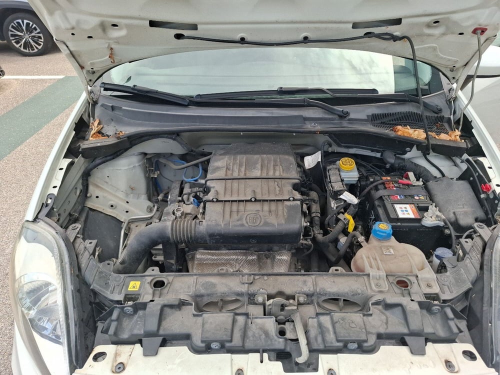 Fiat Punto usata a Ancona (13)