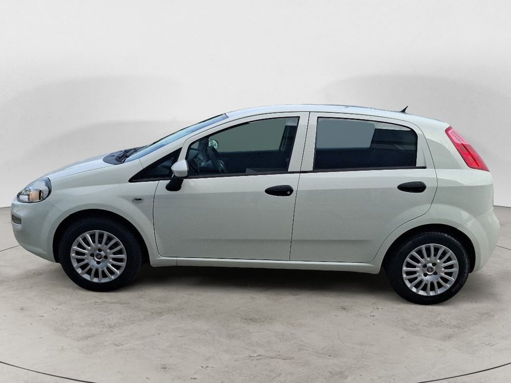 Fiat Punto usata a Ancona (2)