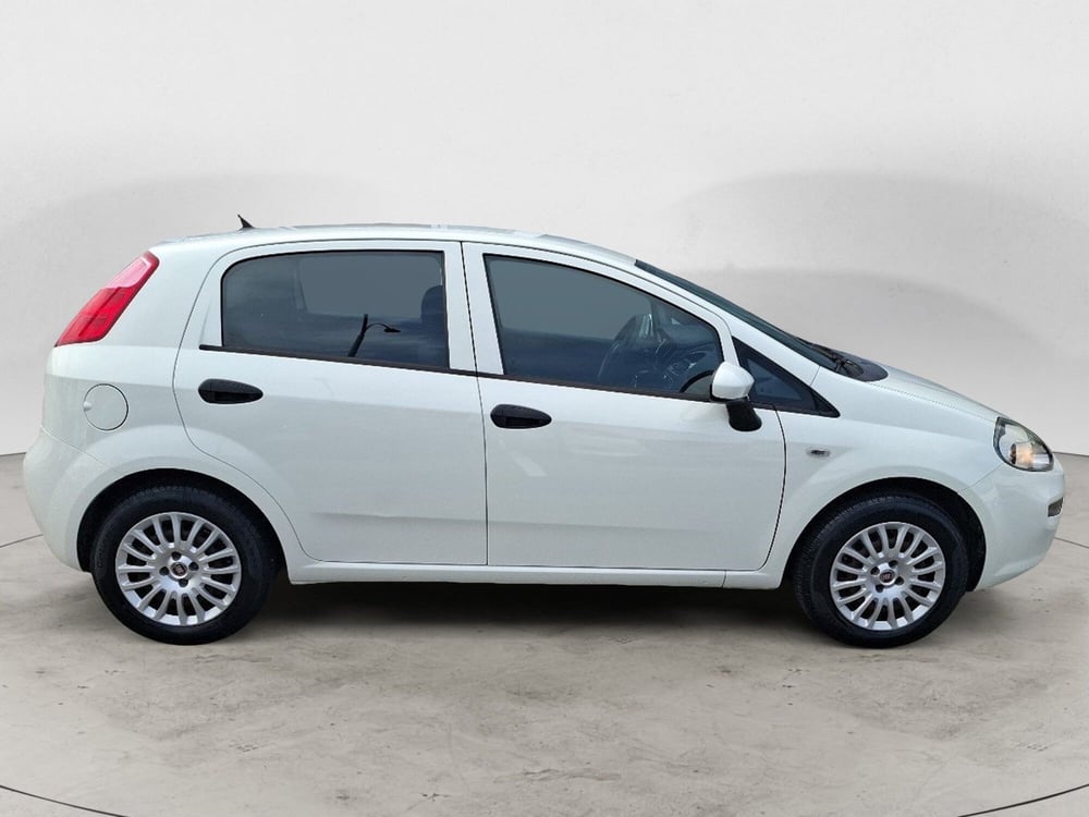 Fiat Punto usata a Ancona (7)