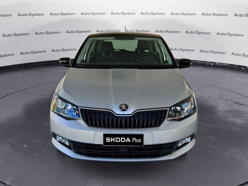 Skoda Fabia usata a Palermo (2)