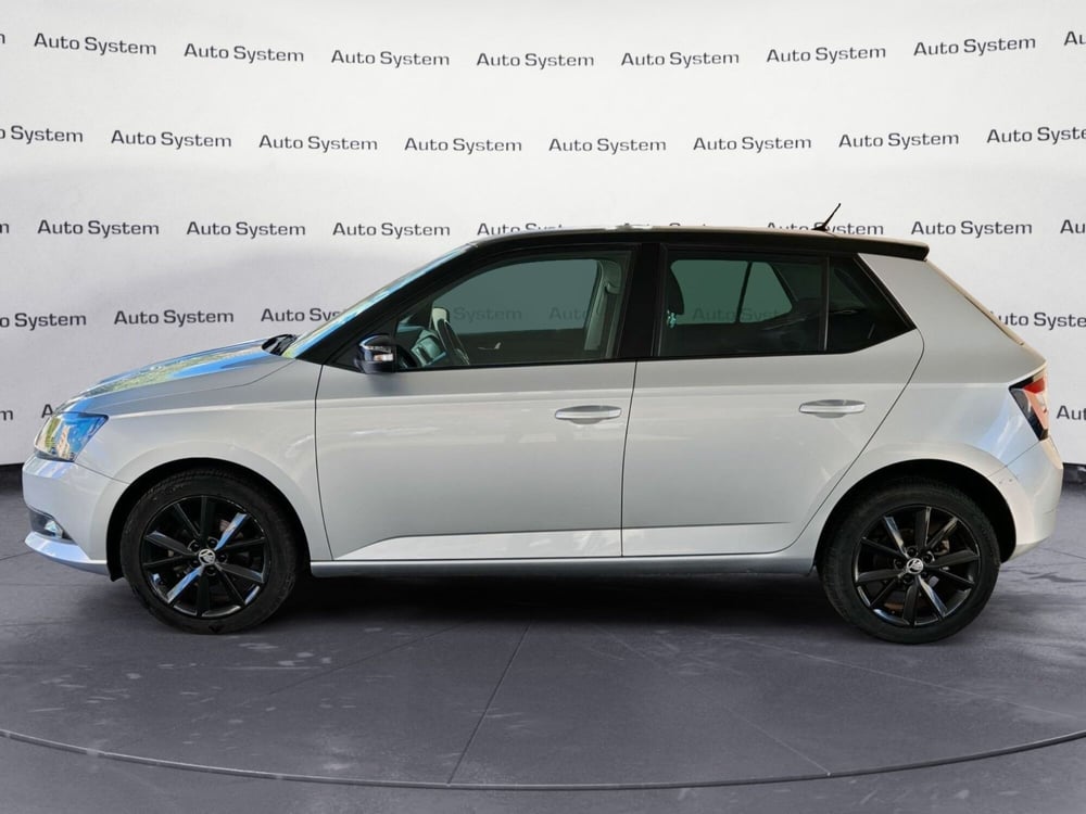 Skoda Fabia usata a Palermo (3)