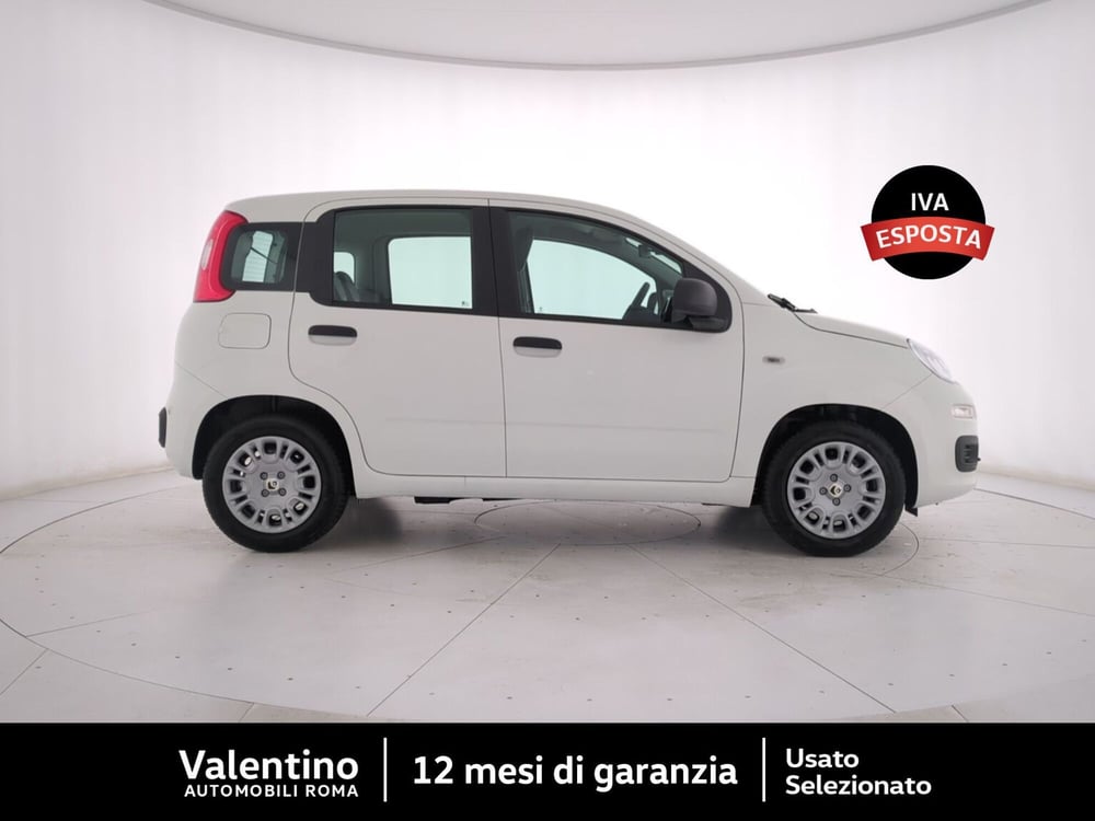 Fiat Panda nuova a Roma (2)