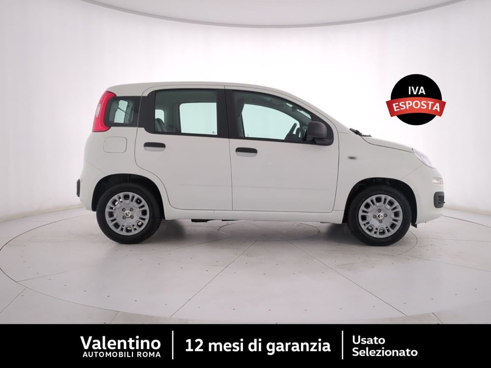 Fiat Panda nuova a Roma (2)