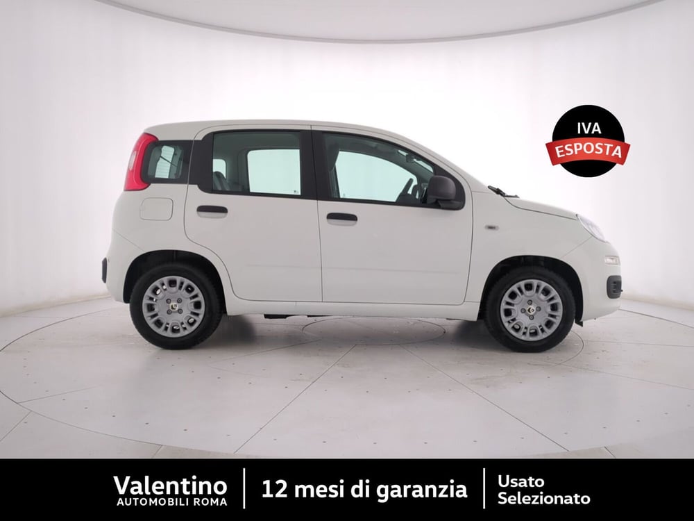 Fiat Panda nuova a Roma (2)