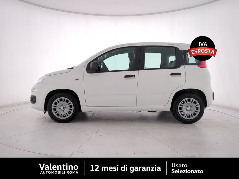 Fiat Panda nuova a Roma (4)