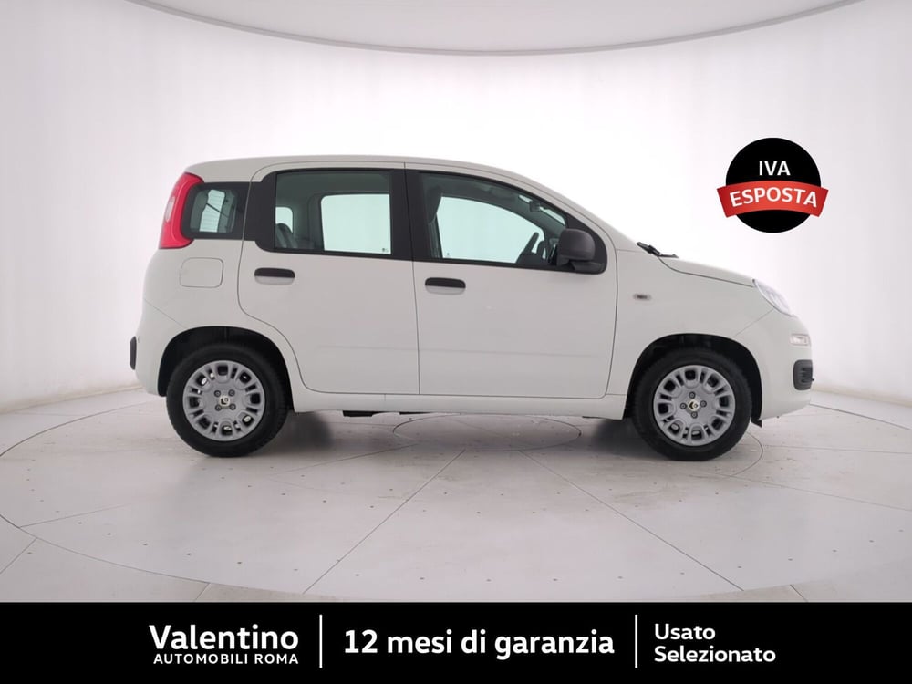 Fiat Panda nuova a Roma (2)