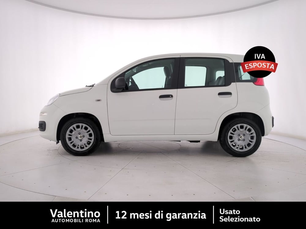 Fiat Panda nuova a Roma (4)