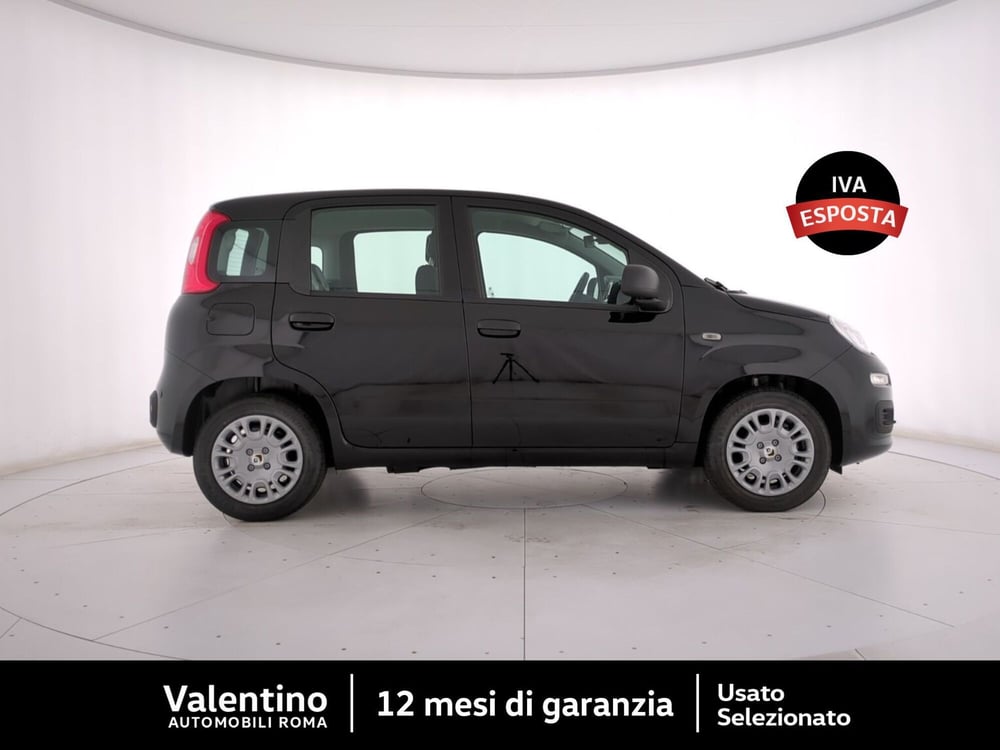 Fiat Panda nuova a Roma (2)
