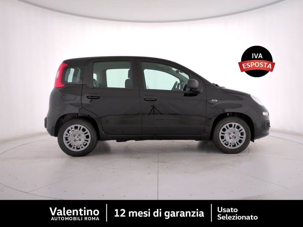 Fiat Panda nuova a Roma (2)