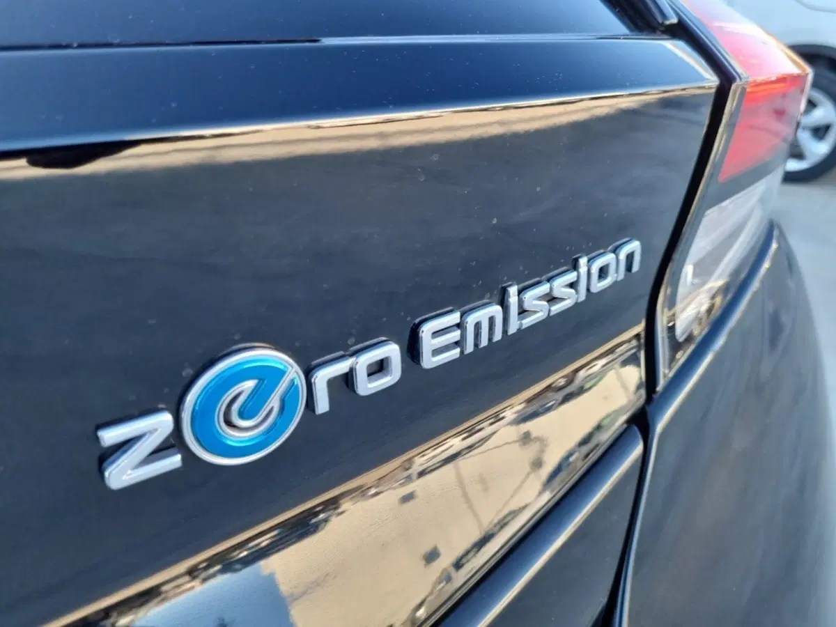 Nissan Leaf usata a Teramo (13)