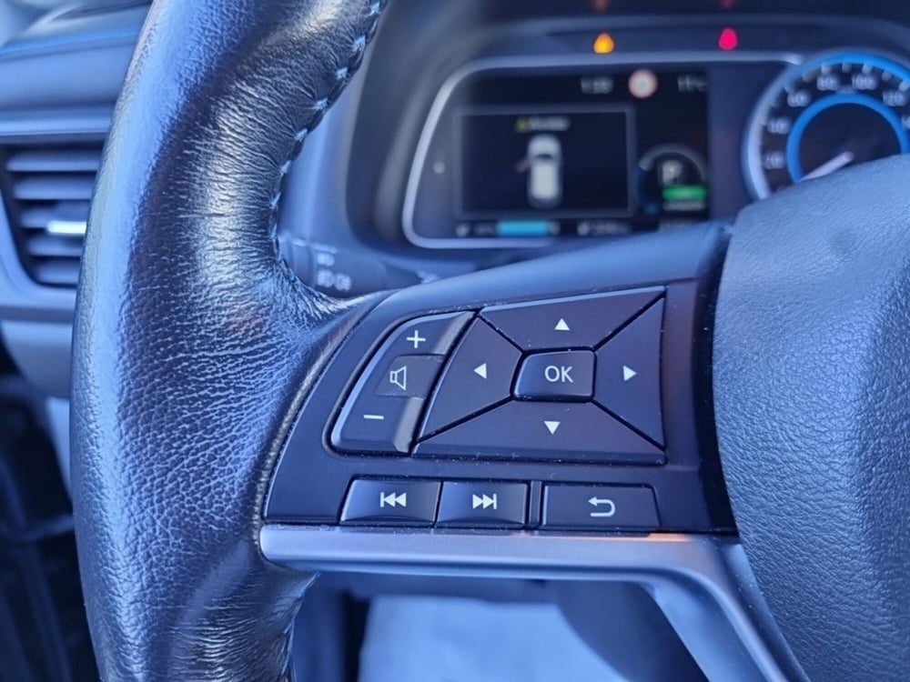 Nissan Leaf usata a Teramo (19)