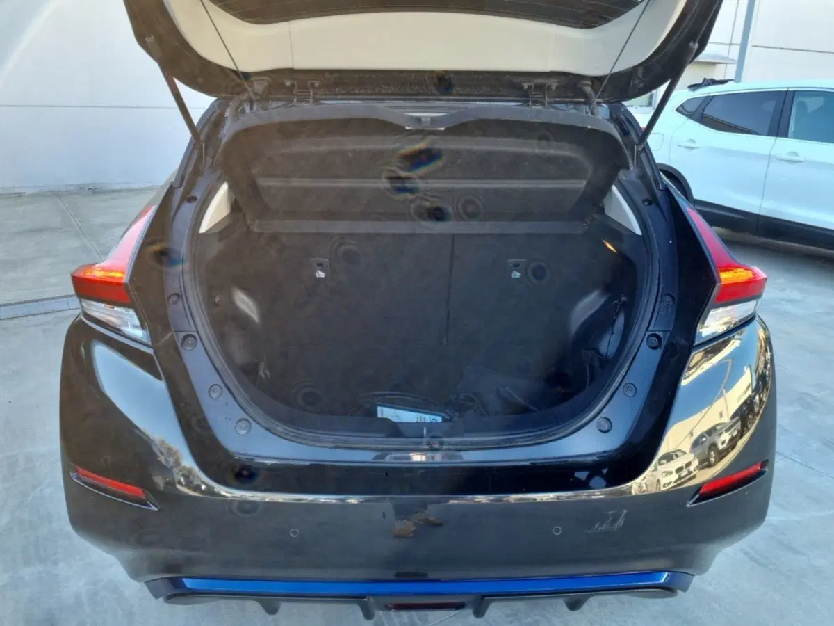 Nissan Leaf usata a Teramo (6)
