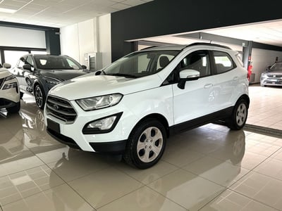 Ford EcoSport 1.0 EcoBoost 100 CV Business del 2019 usata a Ferrara