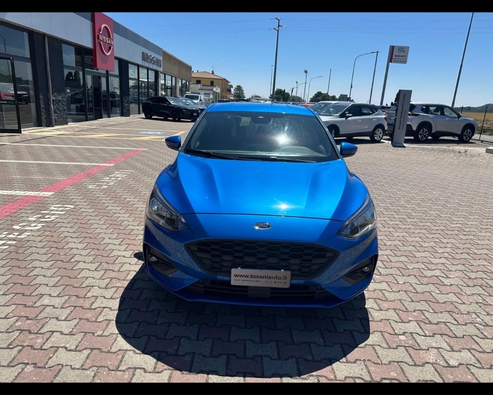 Ford Focus usata a Siena (2)