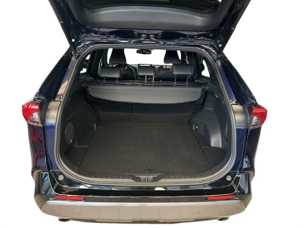 Toyota Rav4 usata a Bergamo (11)