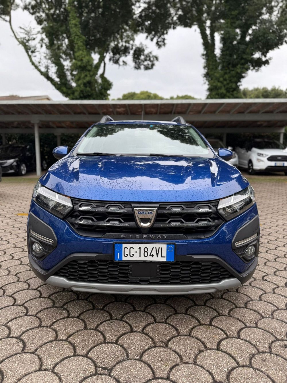 Dacia Sandero usata a Firenze (2)