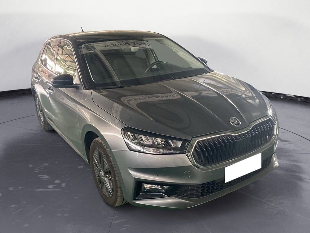 Skoda Fabia usata a Reggio Calabria