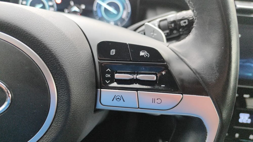 Hyundai Tucson usata a Firenze (19)