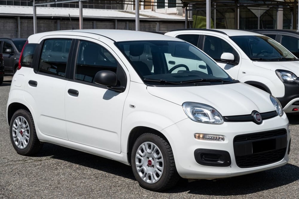 Fiat Panda usata a Torino (3)