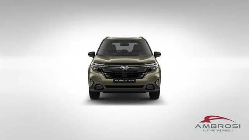 Subaru Forester nuova a Perugia (8)