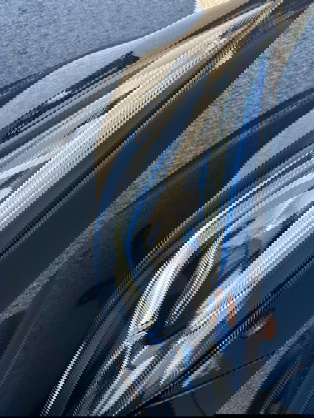 Mercedes-Benz GLA SUV usata a Potenza (20)