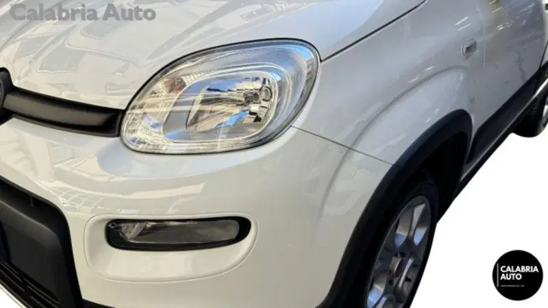 Fiat Panda usata a Reggio Calabria (17)