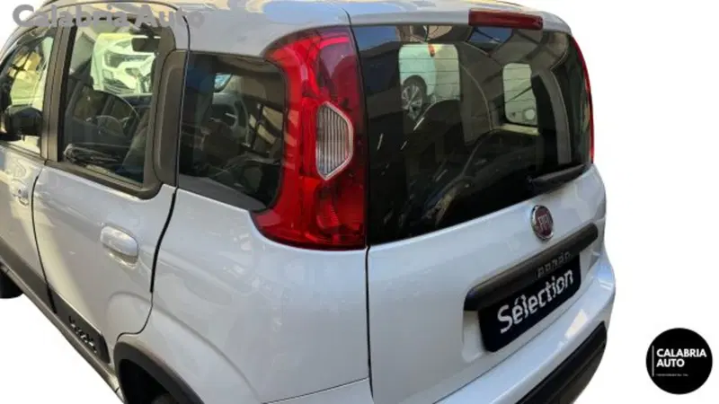 Fiat Panda usata a Reggio Calabria (18)