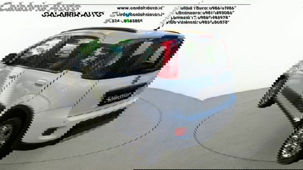 Fiat Panda usata a Reggio Calabria (3)