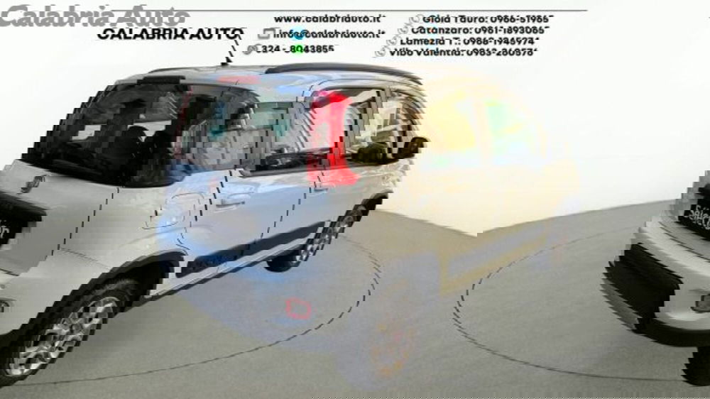 Fiat Panda usata a Reggio Calabria (4)