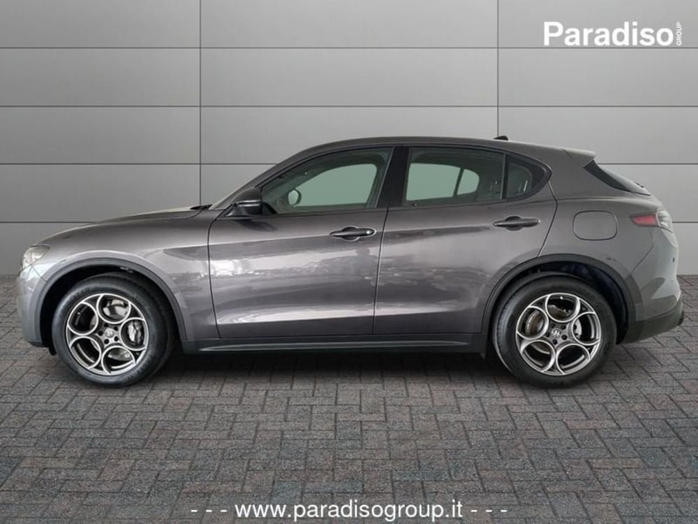 Alfa Romeo Stelvio nuova a Catanzaro (6)
