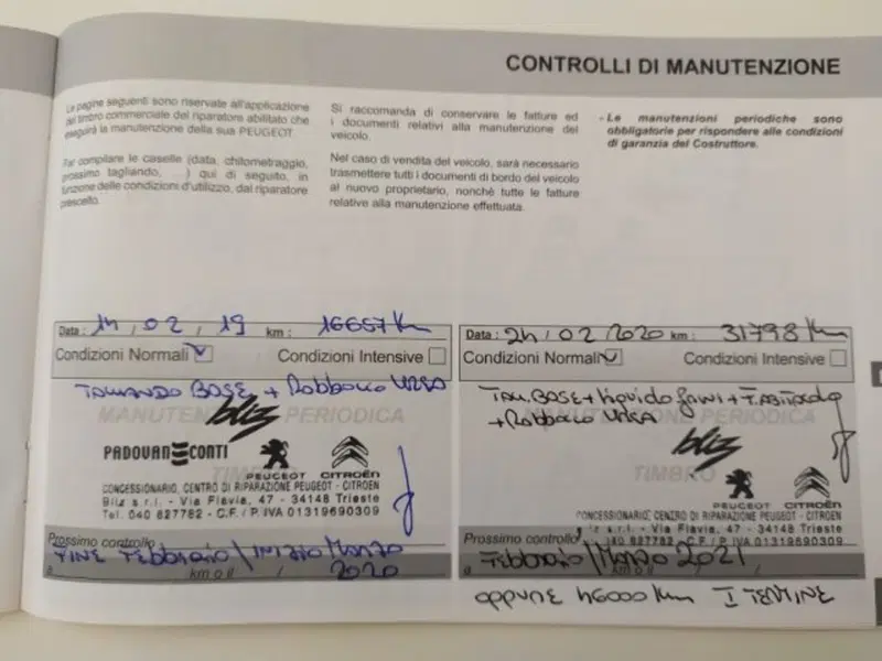 Peugeot 2008 usata a Trieste (20)