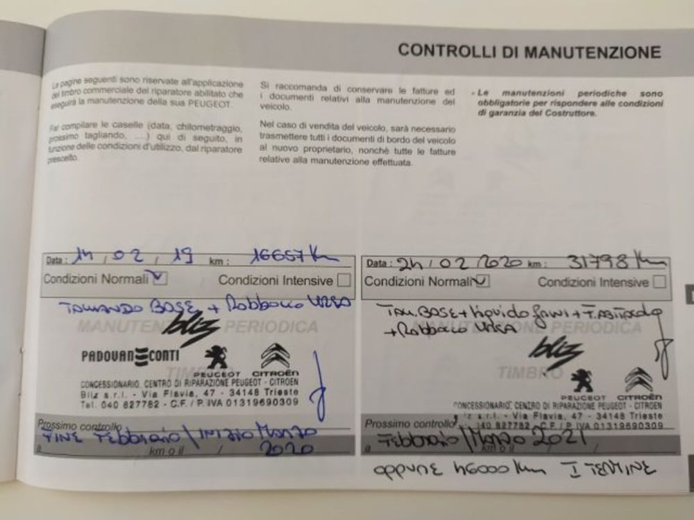 Peugeot 2008 usata a Trieste (20)