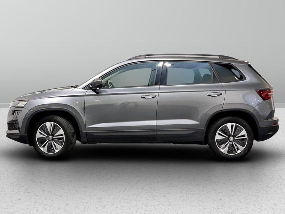 Skoda Karoq usata a Padova (2)