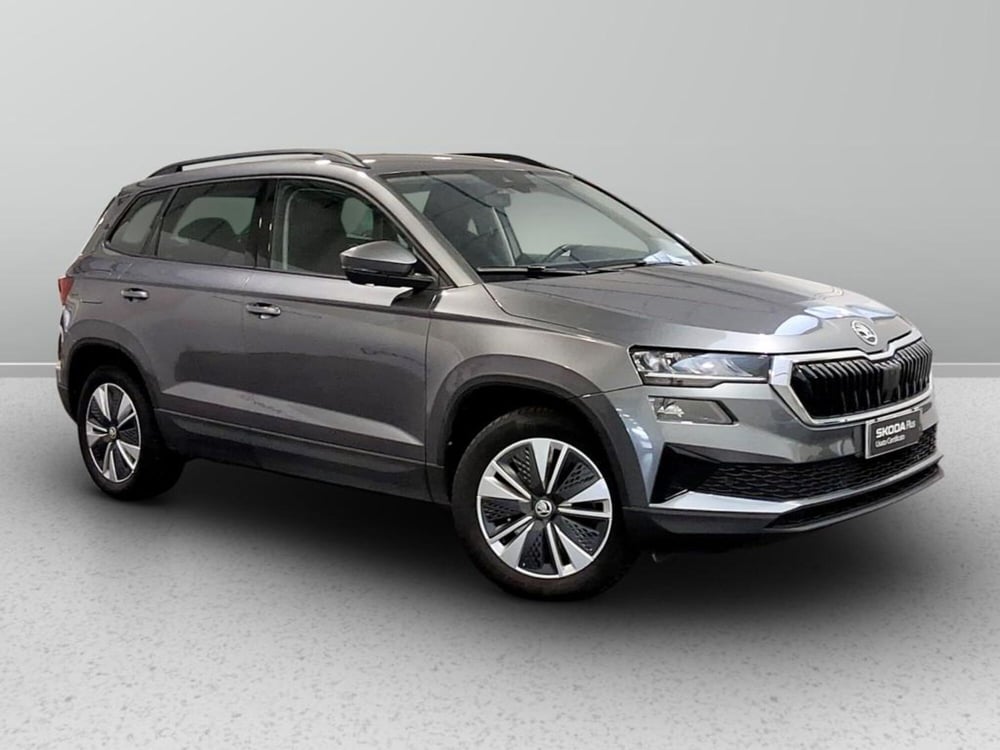 Skoda Karoq usata a Padova (6)