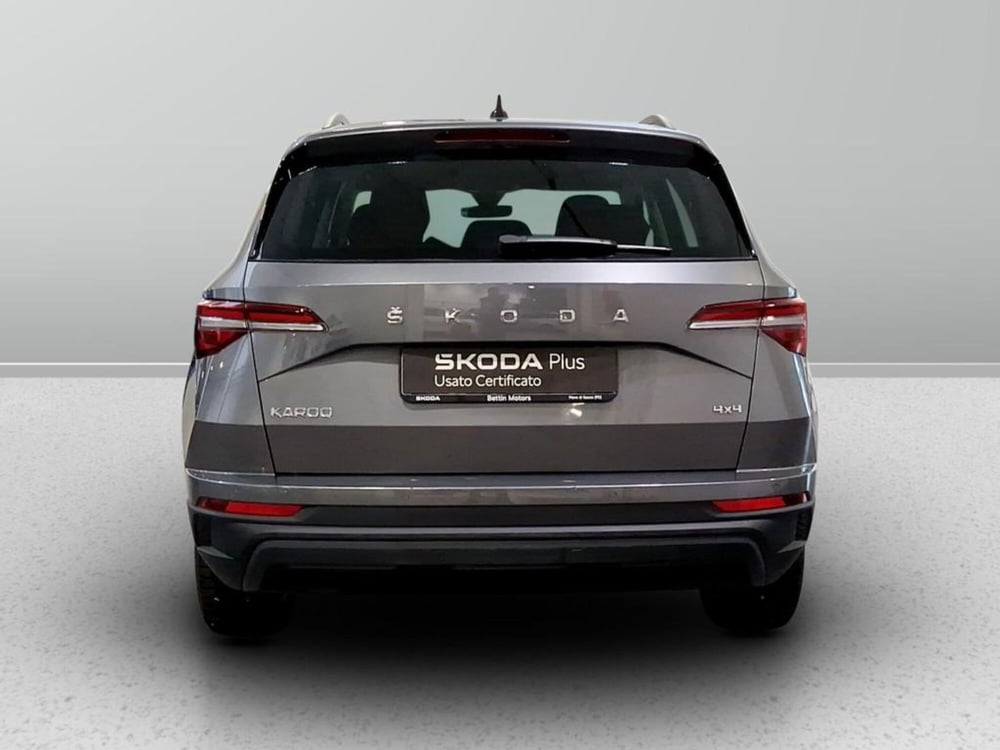 Skoda Karoq usata a Padova (8)