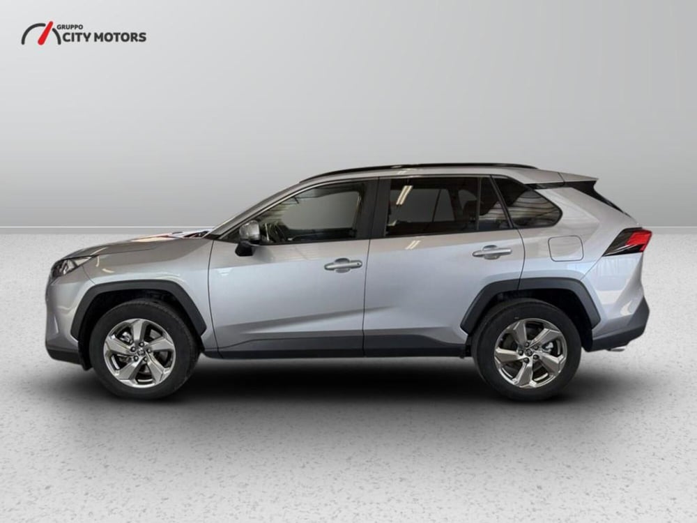Toyota Rav4 usata a Monza e Brianza (4)