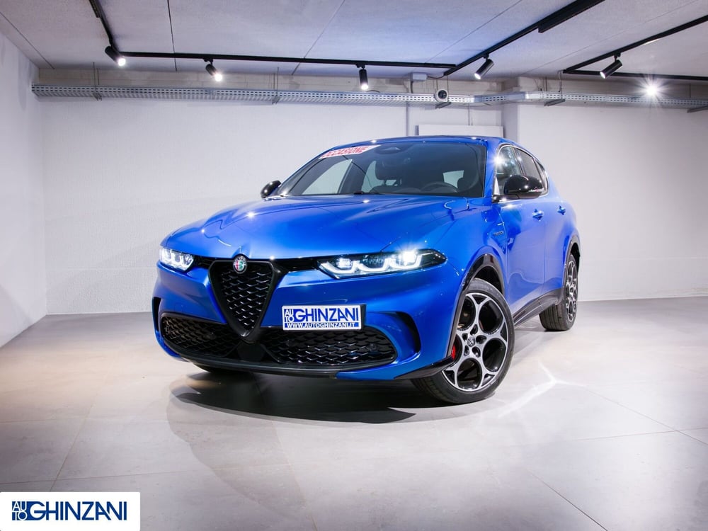 Alfa Romeo Tonale usata a Bergamo (2)