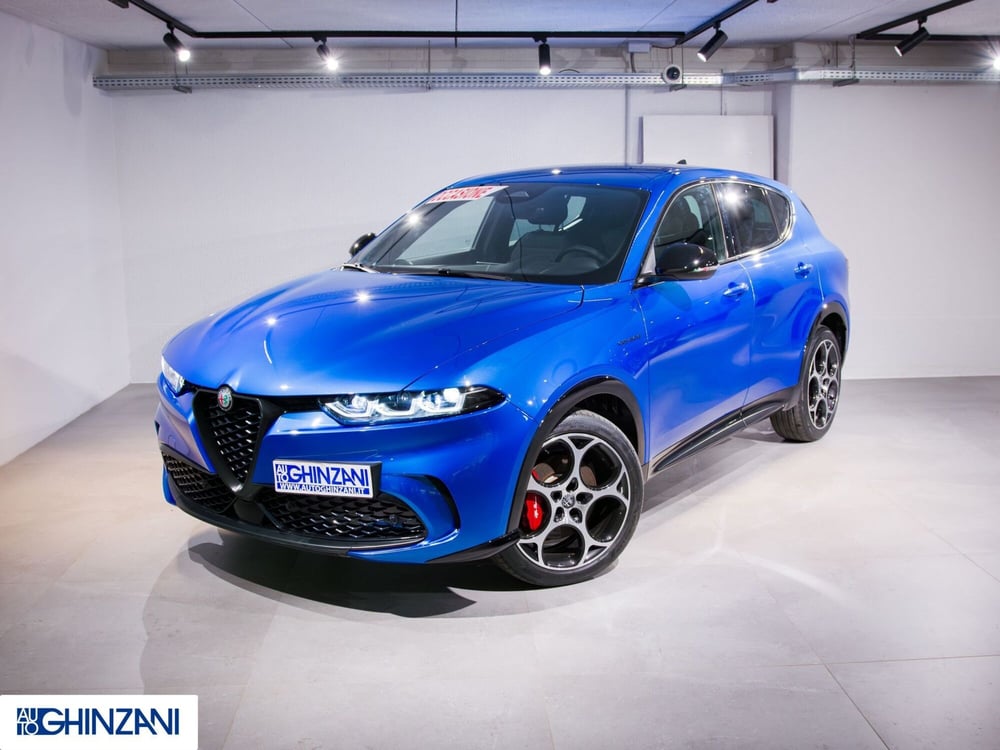 Alfa Romeo Tonale usata a Bergamo (3)
