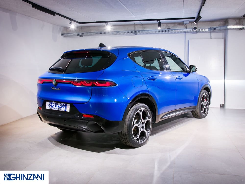 Alfa Romeo Tonale usata a Bergamo (7)
