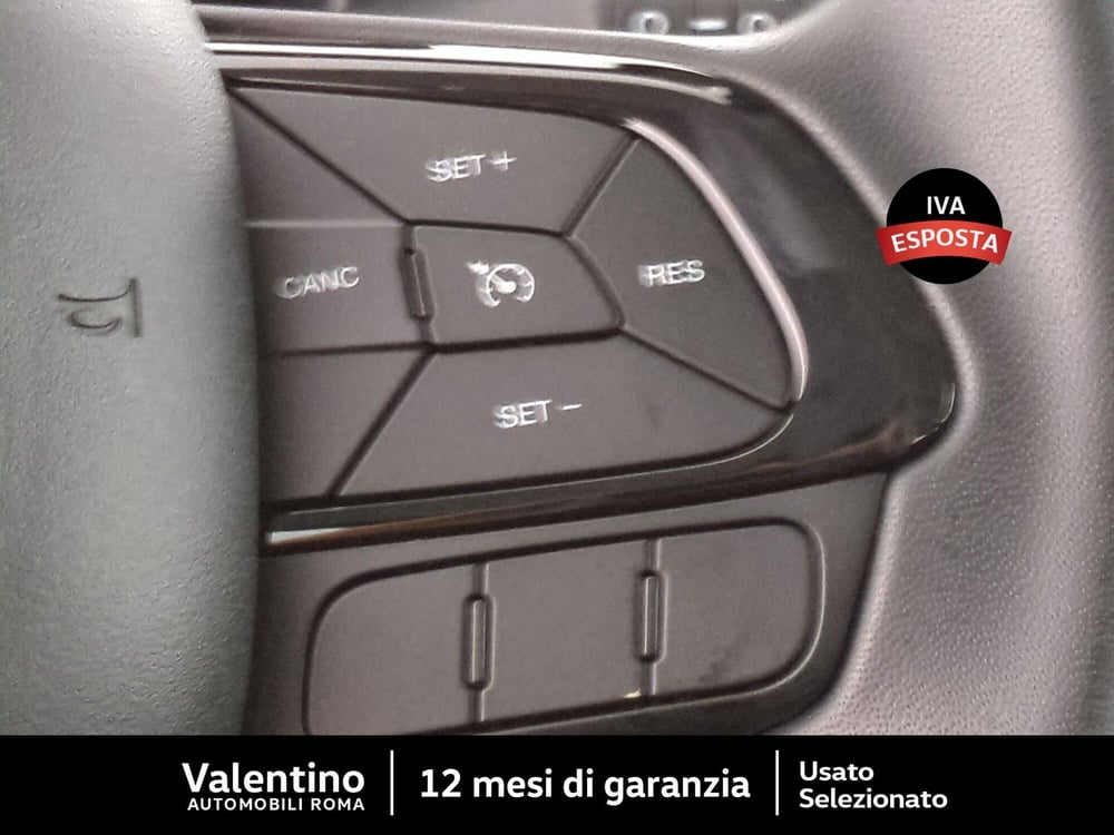 Fiat Panda nuova a Roma (15)