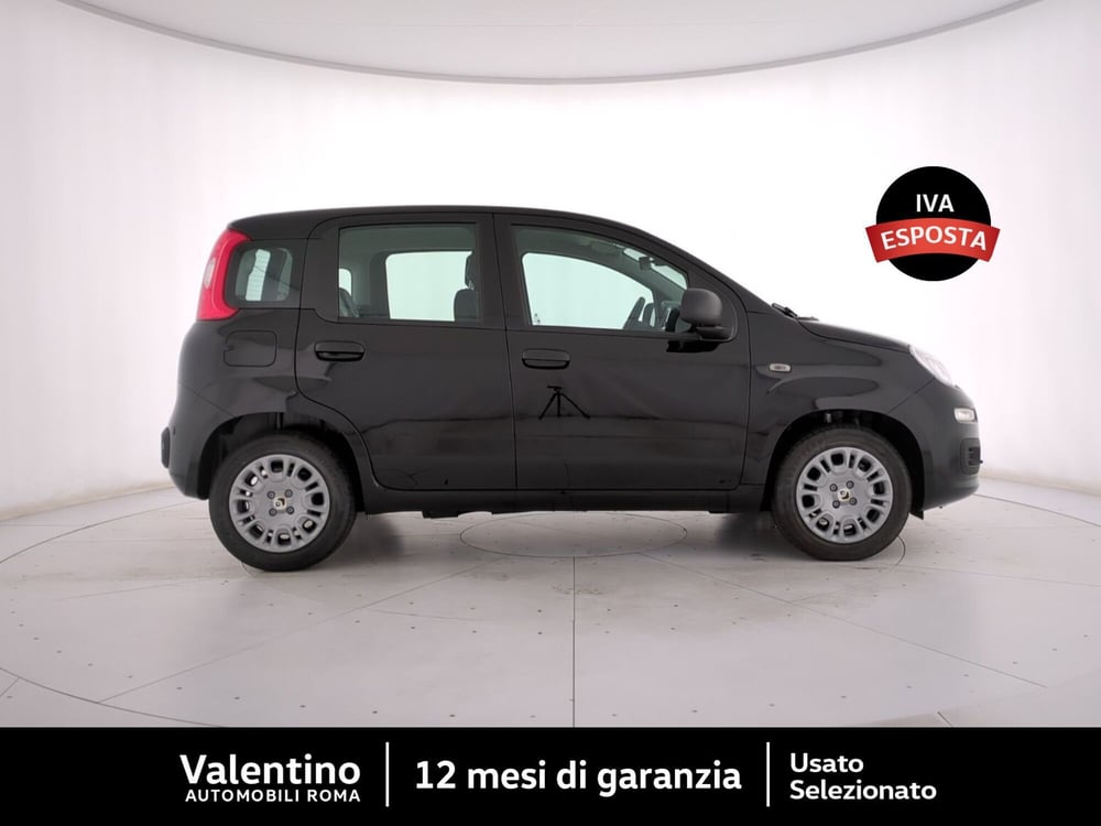 Fiat Panda nuova a Roma (2)