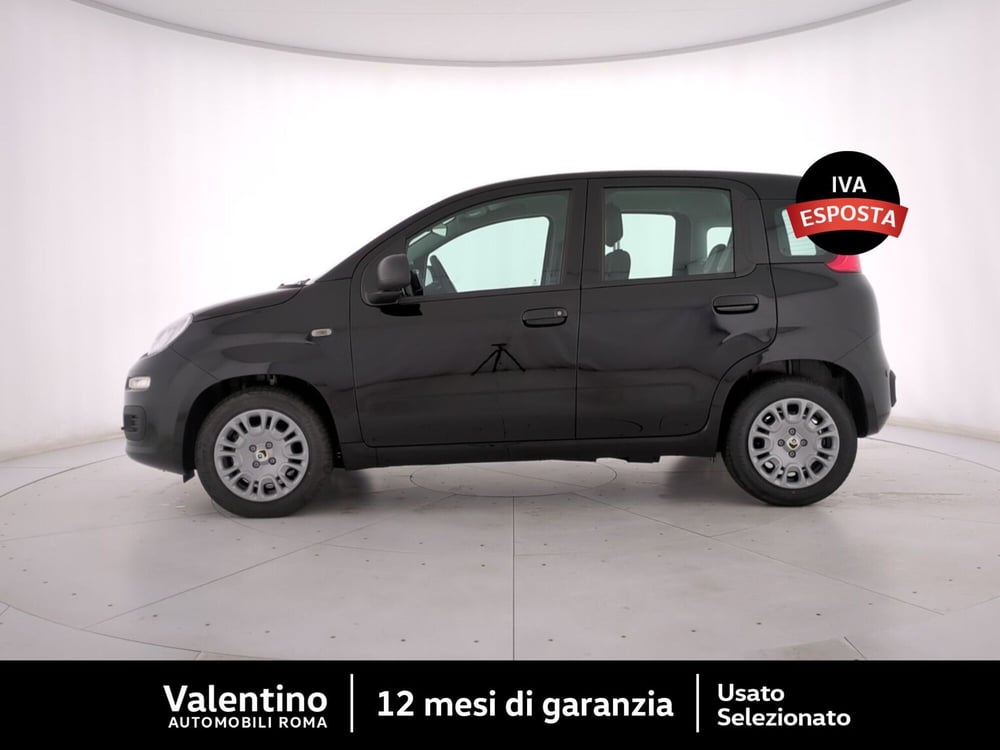 Fiat Panda nuova a Roma (4)