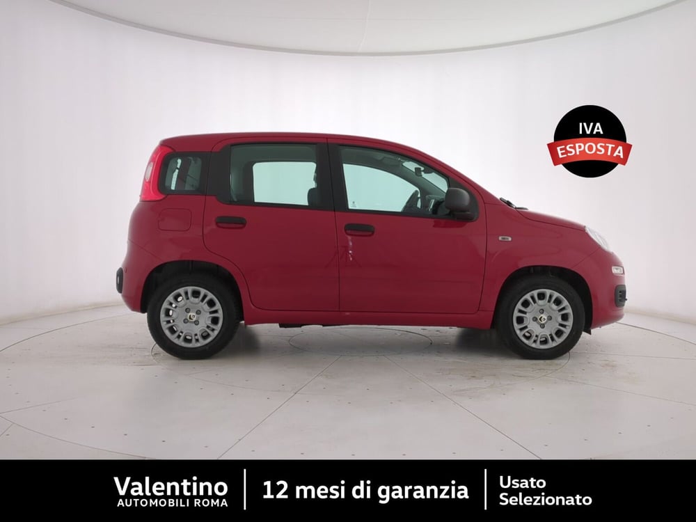 Fiat Panda nuova a Roma (2)