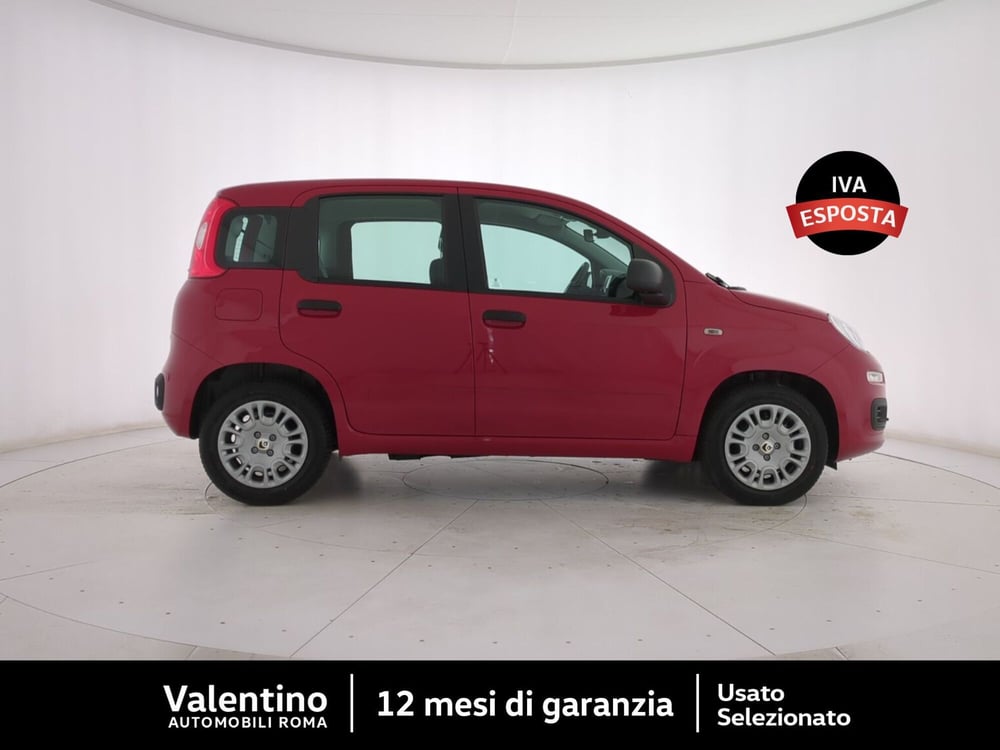 Fiat Panda nuova a Roma (2)