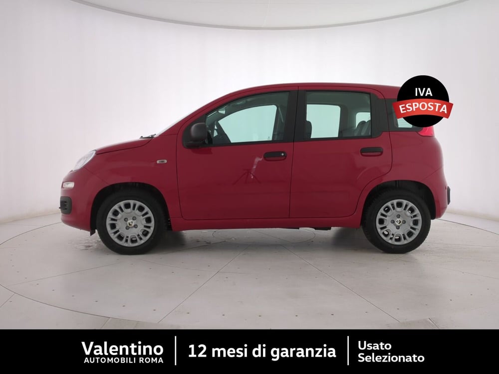 Fiat Panda nuova a Roma (4)