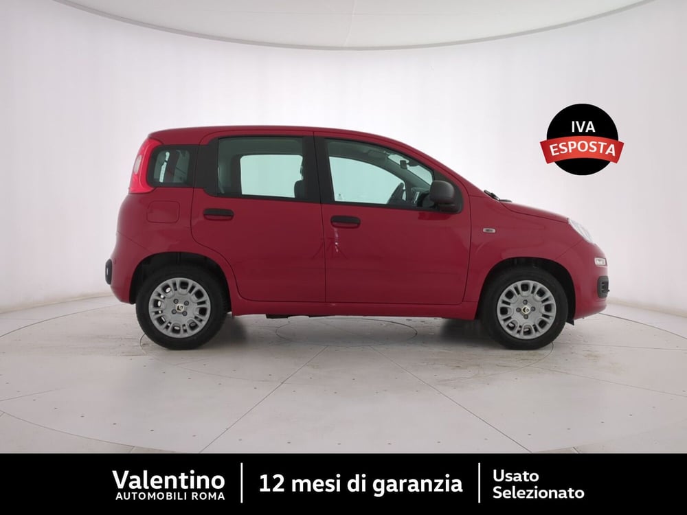 Fiat Panda nuova a Roma (2)