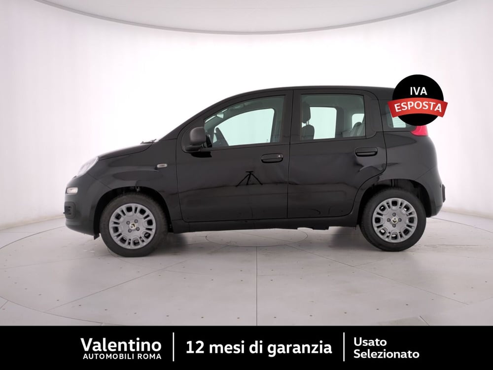 Fiat Panda nuova a Roma (4)
