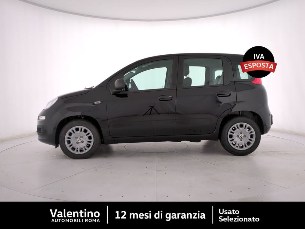 Fiat Panda nuova a Roma (4)