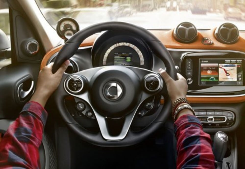 smart forfour usata a Teramo (18)