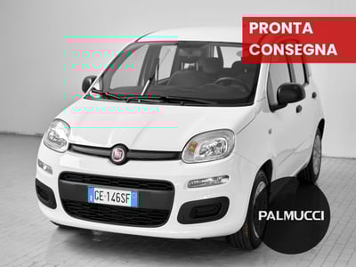 Fiat Panda 1.0 FireFly S&amp;S Hybrid City Cross del 2021 usata a Prato